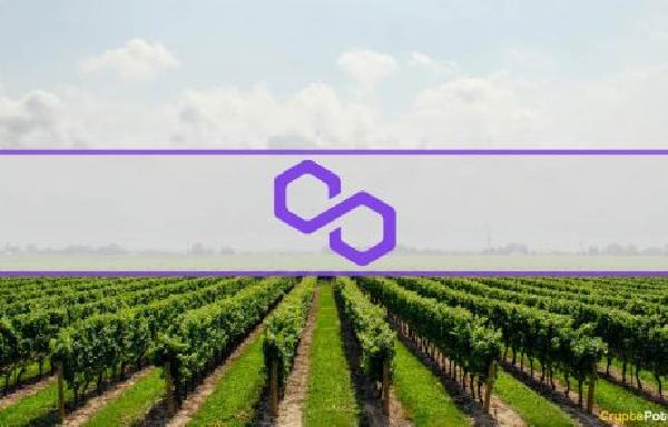 Unlocking MATIC’s Surge: Key Wallets Adds 42.88 Million Tokens, Worth $35 Million