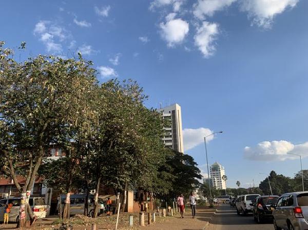 Zimbabwe to Introduce Gold-Backed Digital Currency: Report