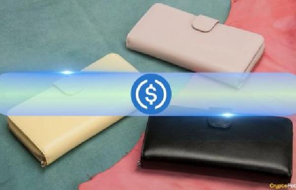 USDC Supply Surges 80 from 2023 Lows: Circulation Grows Across Solana, Ethereum Layer 2s