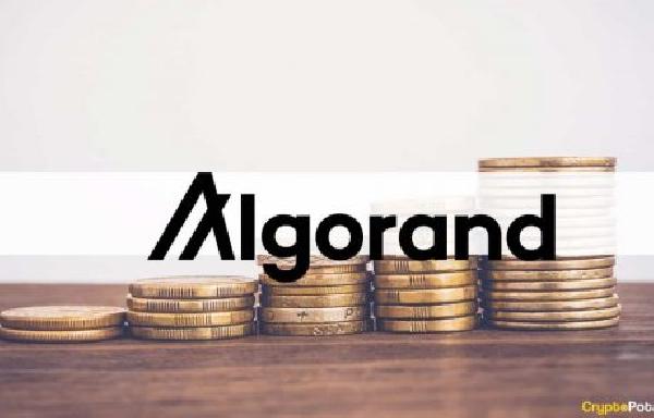 Quantoz Payments Secures License to Issue EURD on Algorand Blockchain