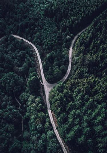 Bitcoin, Ether Diverging Paths Show Resilience and Opportunity