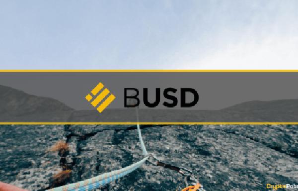 Binance USD (BUSD) Redemptions Surge to $360M as Investors Panic