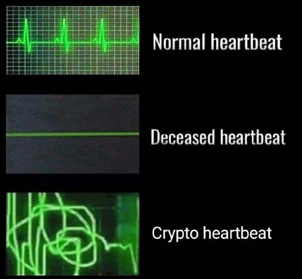 Elon Musking, Paxful Closing, Banks Cryptoing, Fraudsters Scamming and 20 Crypto Jokes