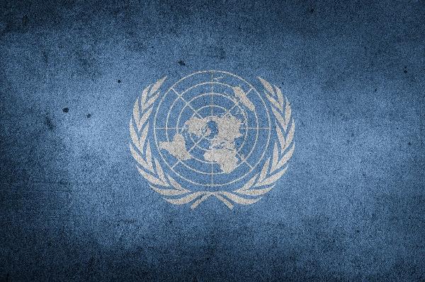 United Nations Development Program Partners Algorand to Train 22,000 Employees in Blockchain Technology