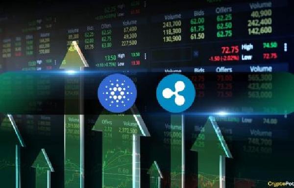 Cardano (ADA) and Ripple (XRP) Lead Altcoin Gains as Bitcoin Flirts with $100K
