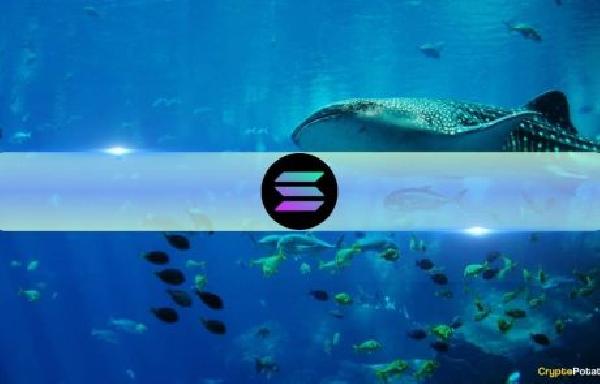 Solana Whales Dump SOL Amid Major Token Unlock 
