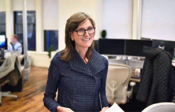 Cathie Wood’s ARK Invest Accidentally Owns $15,000 Bitcoin Puppet