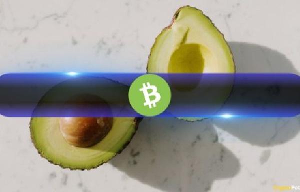 4 Days Ahead of Halving: Bitcoin Cash Price Soars Alongside BCH Open Interest