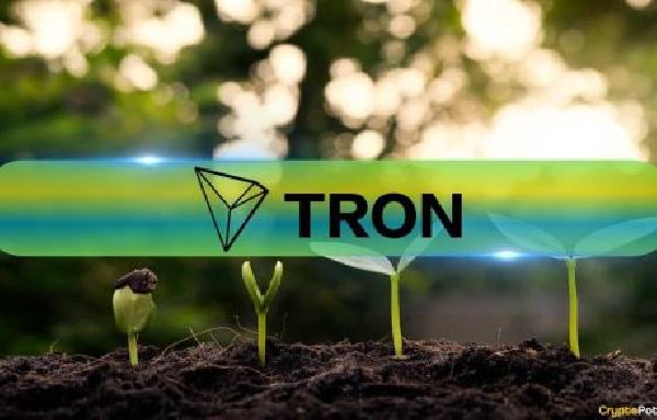 Tron’s Journey: From USDT Powerhouse to DeFi Hub in 2024 (CryptoQuant)