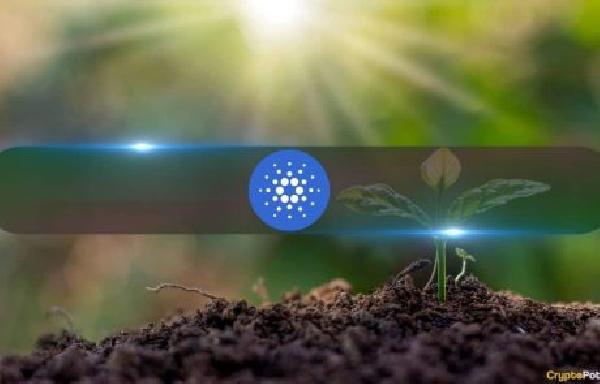 Cardano (ADA) Soars 30 Daily as Founder Charles Hoskinson Makes Big Announcement
