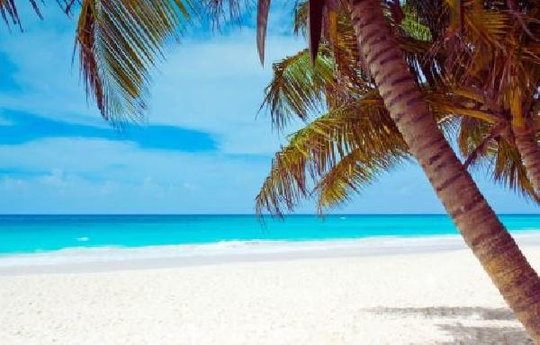 Caribbean’s Revival Mirrors the Growing Adoption in Argentina, Brazil, and Venezuela