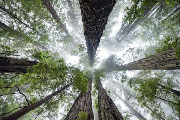 FTX Reaches $45M Deal to Sell Interest in Sequoia to Abu Dhabi‘s Investment Arm