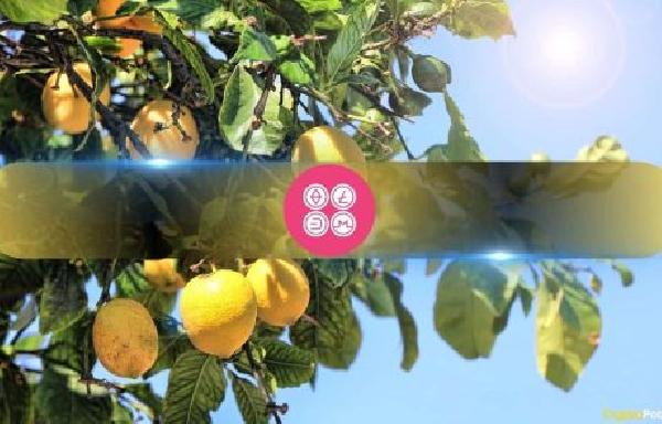 DeFiance Capital Founder Compares Altcoin Market to a ‘Lemon’s Market’