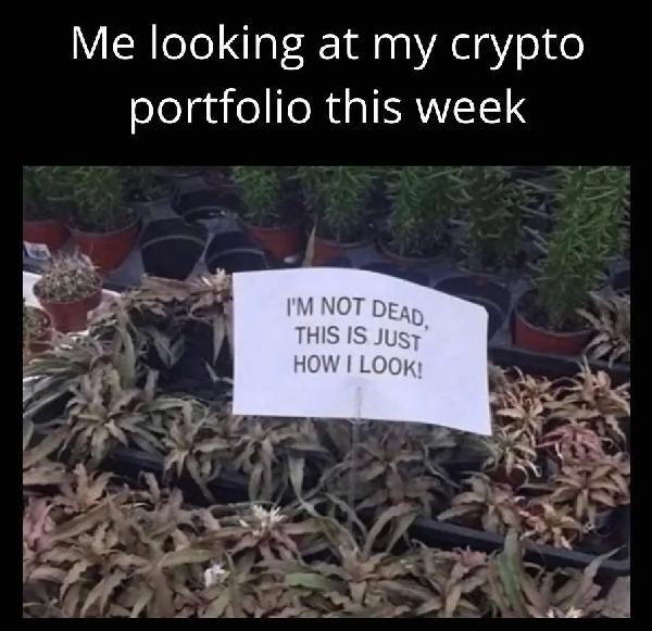 Ponzi Schemes, Restraining Orders, Bankruptcies, Congestions and 20 Crypto Jokes