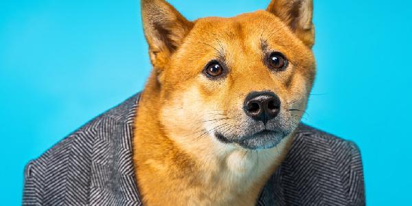 21Shares Applies for Dogecoin ETF Backed by House of Doge