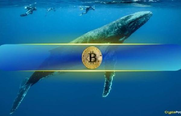 Bitcoin Whales Accumulate During Post-Inauguration Price Correction