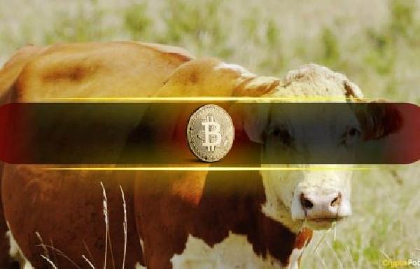 Current Bitcoin (BTC) Correction Fits Historical Mid-Cycle Reset Pattern Perfectly: Bitfinex
