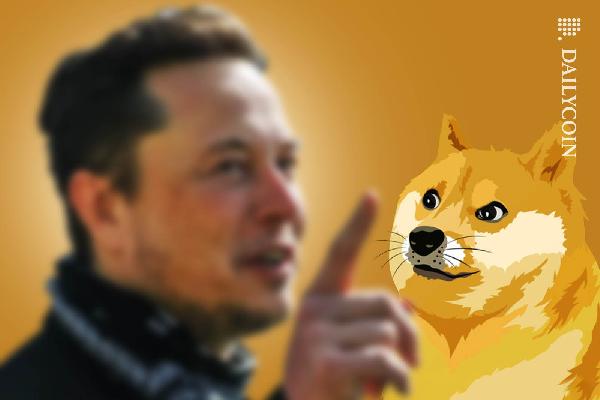 Elon Musk Warns Dogecoin Fans: “Don’t Bet the Farm on DOGE”