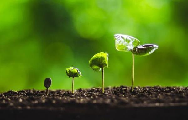 Crypto Market Recorded Strong Growth in December: Binance