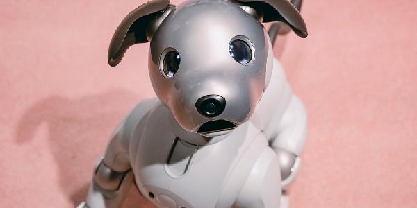 Sony’s Aibo Robot Dog Is Back—In Ethereum NFT Form