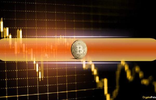 Higher Inflation Shakes Bitcoin: Could Whales Prepare to Capitalize on Retail Overreactions?