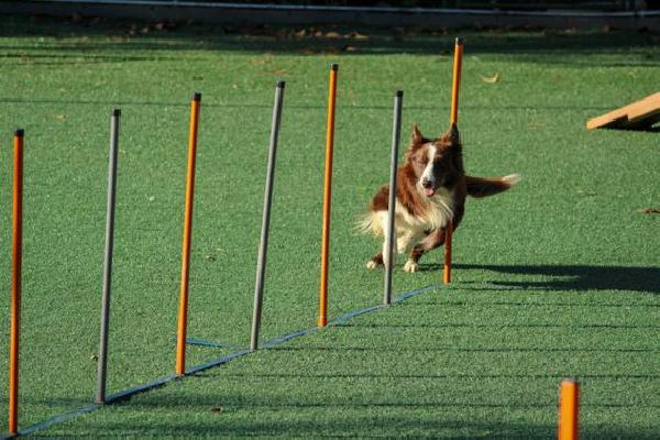 Total Value on Liquid Staking Platform Agility Soars to $467M Following Ethereum Shapella