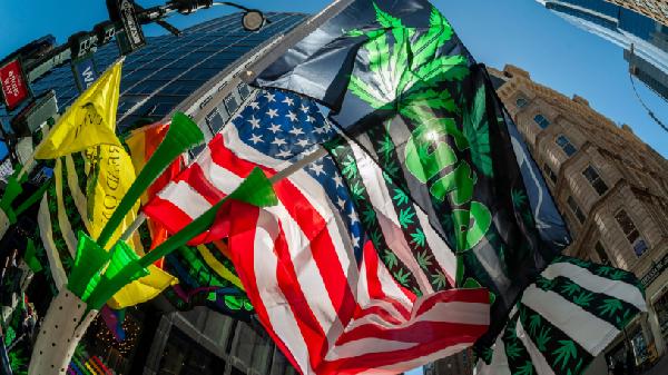 Cannabis and NFT? Live minting hosted at NYC Dispensary