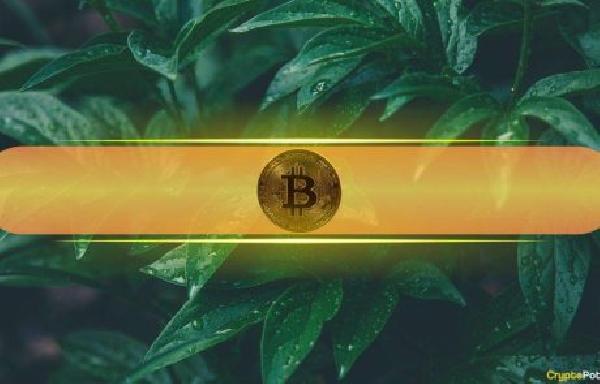 Bitcoin Rebound Backed by On-Chain Strength Despite Trade War Uncertainties