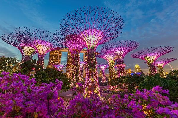 Singapore‘s Monetary Authority Enforces Crypto Lending and Staking Ban for Retail Investors
