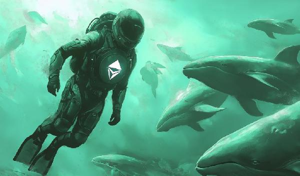 Analyst Says Crypto Whales Loading Up on Ethereum, Accumulating $815,514,345 in ETH in Just Five Days