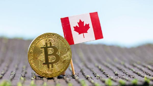 Canada to Set up Storage for Seized Digital Assets