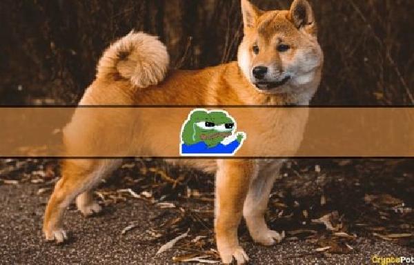 4 Meme Coins to Watch as PEPE Coin Mania Winds Down
