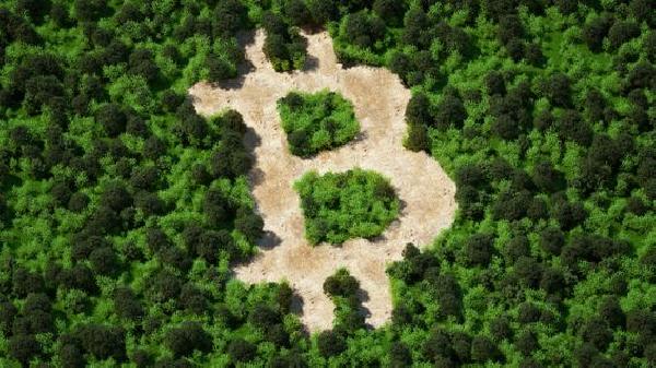 Bitcoin Should Be Central to Regulation of Digital Assets