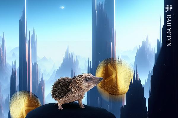 XRP Records Two Highest Address Activity Spikes in History
