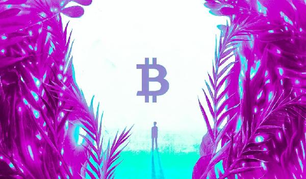 Wells Fargo, Morgan Stanley, Merrill Lynch and UBS Will Open Bitcoin ETF Services by End of Year: Bitwise CIO Matt Hougan
