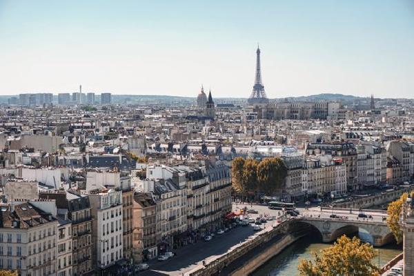 Authorities in France Arrest Duo Involved in Platypus Exploit