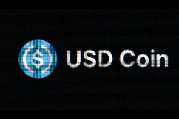 Circle Stablecoin CEO Unveils International Dominance: 70 of USDC Adoption Outside US