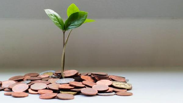 Lido Community Members Propose LDO Token Staking and Buyback Plan