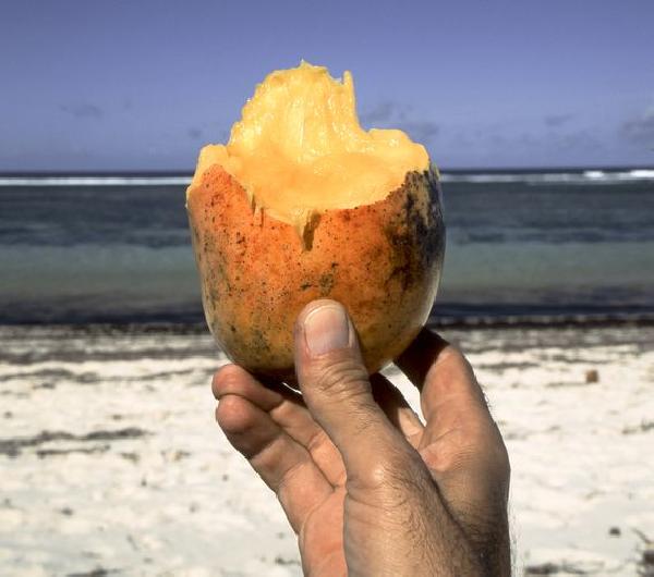 Mango Markets Exploiter Must Stay Detained Pending Trial, Court Rules