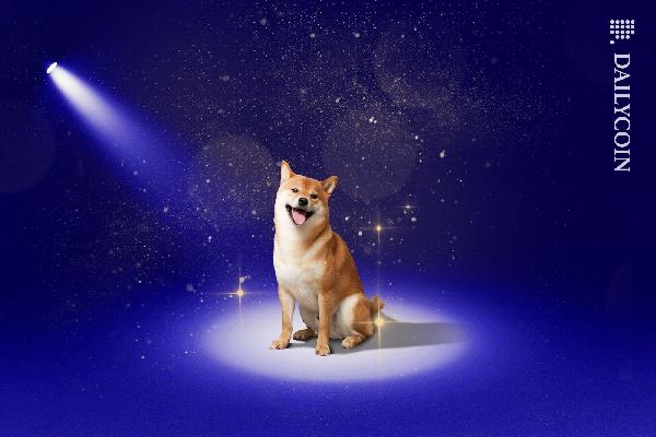 Security Audit Relegates Shiba Inu: CertiK Tackles Issues in AMA