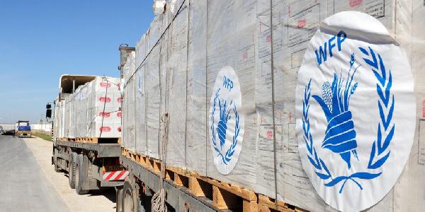 World Food Program USA Accepts Bitcoin and Dogecoin Donations After Funding Cuts