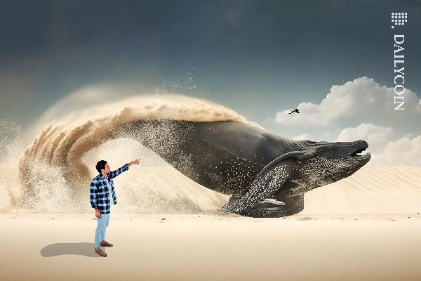 XRP Whale Transfers and Ripple’s Exchange Connections