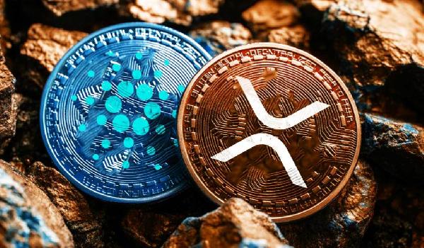 Crypto Whales Gobble Up $2,510,550,217 in XRP and Cardano (ADA) in Just a Day, According to Analyst