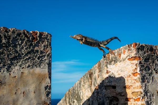 Decentralized Liquidity Platform Synthetix Sees Jump in Fees Collected Amid Incentive Campaign