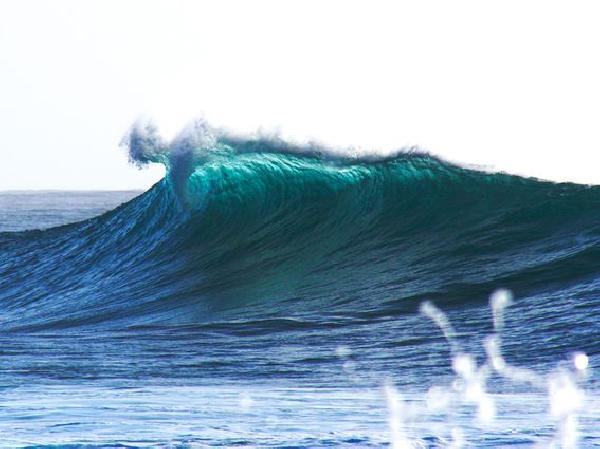 Crypto Markets Analysis: A Wave of Economic Data Rises on Wednesday With Fed Rate Decision