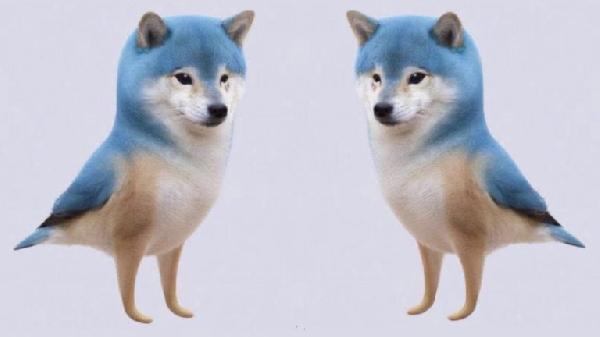 ‘Totally Irresponsible’ — Bitcoin Proponents Express Discontent Over Twitter‘s Doge Logo Change