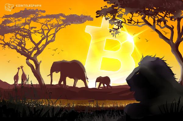 IMF optimism in Central African Republic, despite Bitcoin adoption
