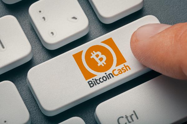 Is it Too Late to Buy Bitcoin Cash? BCH Price Pumps Up 50 While AI Crypto Signals Platform yPredict Raises $2.7 Million