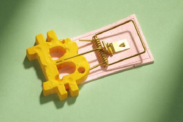 How Bitcoin NFTs Might Accidentally Fix Bitcoin‘s Security Budget