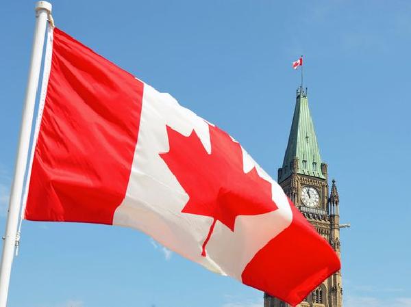 Canadian Crypto Exchanges Coinsquare, WonderFi in Advanced Talks to Merge: Bloomberg
